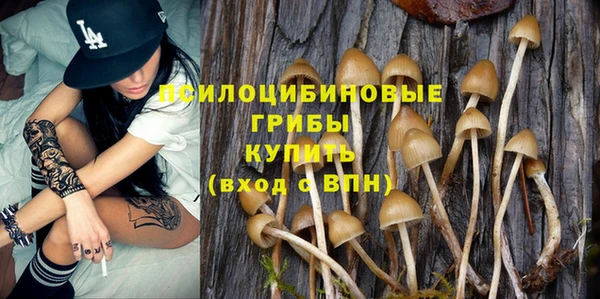соль курить ск Вяземский